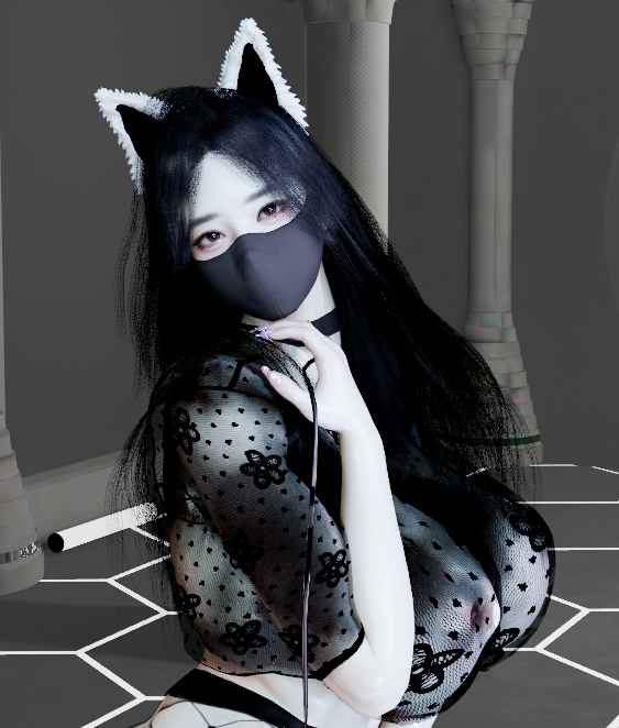 dakonglong.猪腰1号.1-888